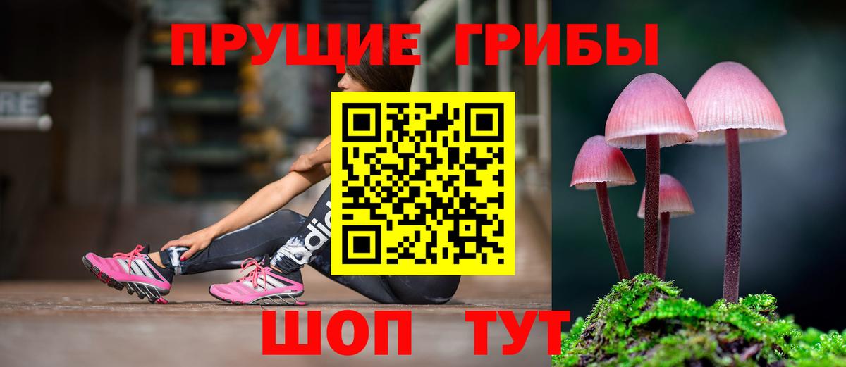 Галлюциногенные грибы Magic Shrooms  Вход с VPN  Верхняя Пышма 