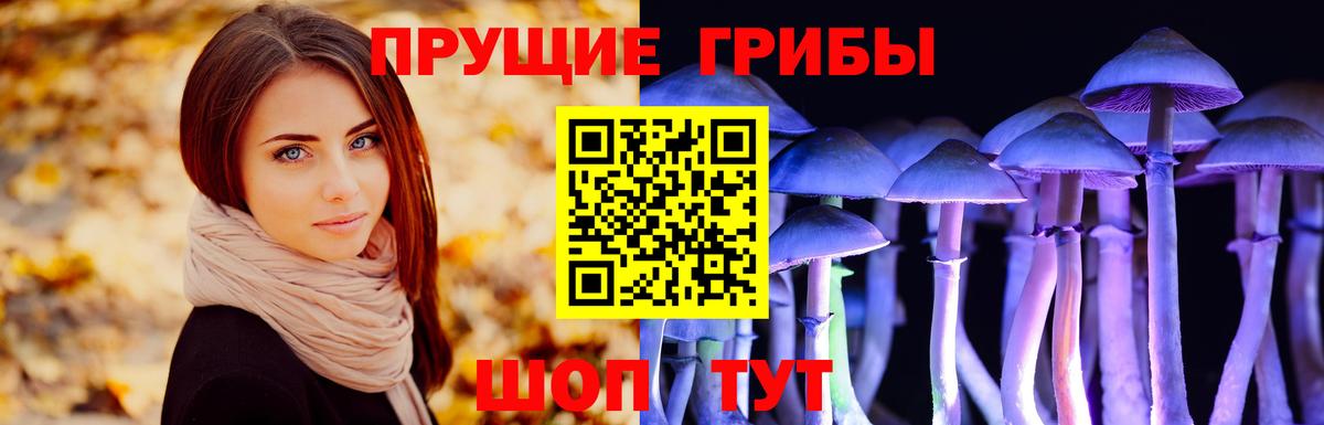 Галлюциногенные грибы прущие грибы Верхняя Пышма